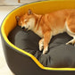 Four Seasons Puppy Pet Products Baskets