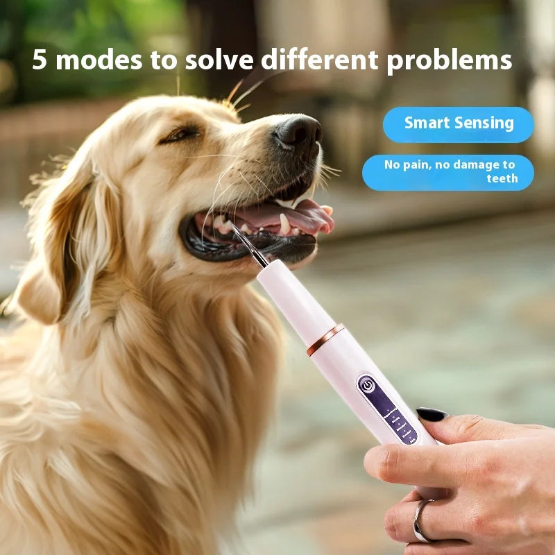 Dog Cat Grooming Smart Dental Ultrasonic Scaler Pet Household Tooth Stone Remover Tooth CleanerTooth Oral Cleaning Care Kit