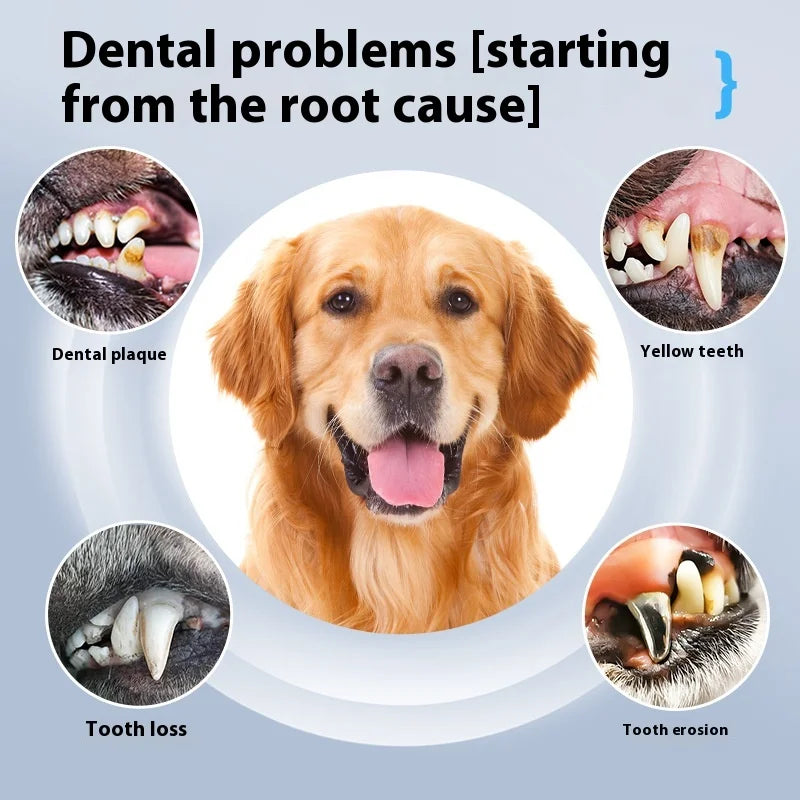 Dog Cat Grooming Smart Dental Ultrasonic Scaler Pet Household Tooth Stone Remover Tooth CleanerTooth Oral Cleaning Care Kit