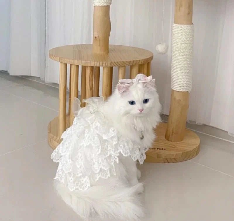 Cat Clothes Lace Wedding Dresses Designer Dog Clothes White Hollow Out Layered Princess Cat Dress Fashion Elegant Dog Dresses