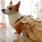 Sweet Plaid Sphynx Cat Dress Vest with Harness Leash Outdoor Pet Clothes for Cats Gotas Skirts Katten Kleding vestidos perrita