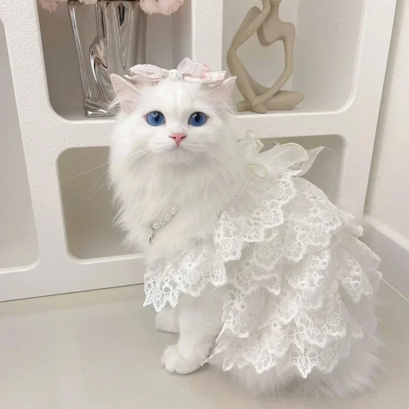 Cat Clothes Lace Wedding Dresses Designer Dog Clothes White Hollow Out Layered Princess Cat Dress Fashion Elegant Dog Dresses