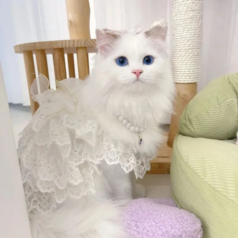 Cat Clothes Lace Wedding Dresses Designer Dog Clothes White Hollow Out Layered Princess Cat Dress Fashion Elegant Dog Dresses