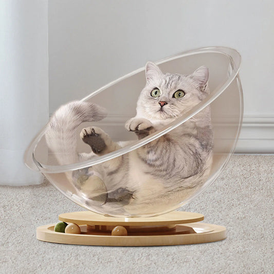 Space Capsule Cat Bed Kitten Nest