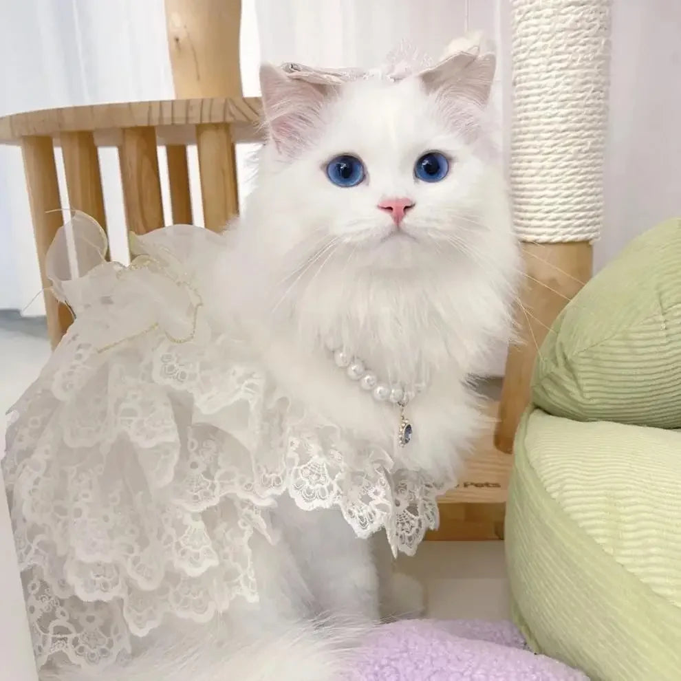 Cat Clothes Lace Wedding Dresses Designer Dog Clothes White Hollow Out Layered Princess Cat Dress Fashion Elegant Dog Dresses