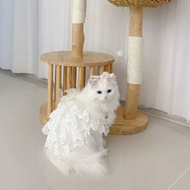 Cat Clothes Lace Wedding Dresses Designer Dog Clothes White Hollow Out Layered Princess Cat Dress Fashion Elegant Dog Dresses