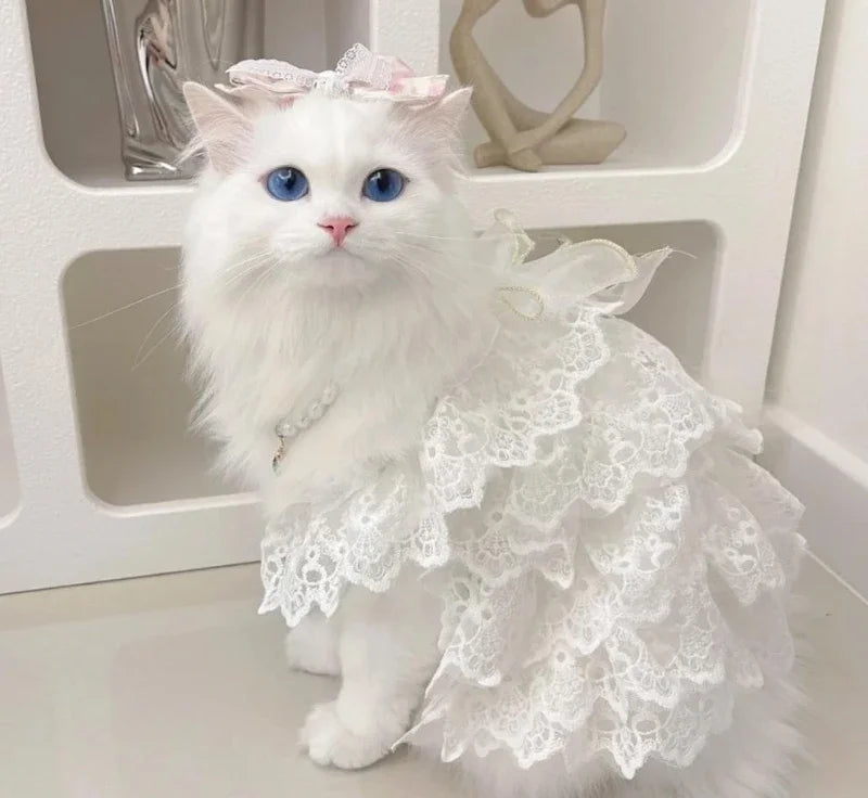 Cat Clothes Lace Wedding Dresses Designer Dog Clothes White Hollow Out Layered Princess Cat Dress Fashion Elegant Dog Dresses