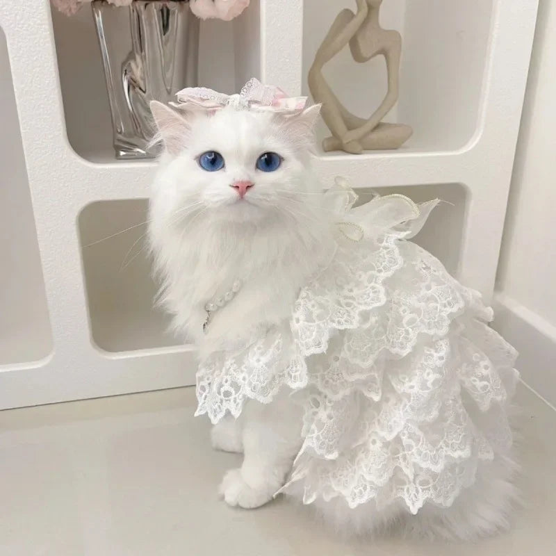 Cat Clothes Lace Wedding Dresses Designer Dog Clothes White Hollow Out Layered Princess Cat Dress Fashion Elegant Dog Dresses