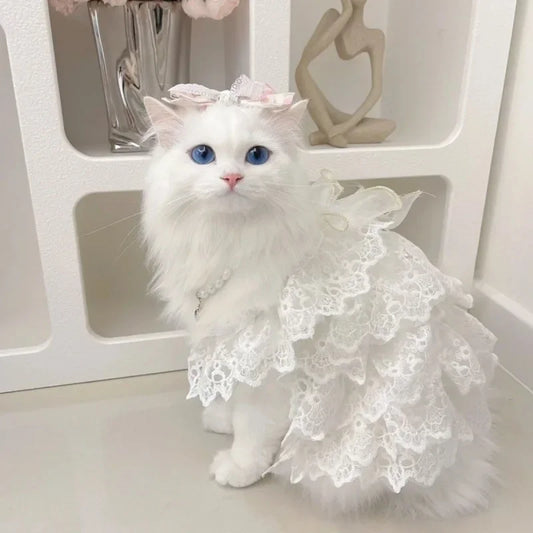 Cat Clothes Lace Wedding Dresses Designer Dog Clothes White Hollow Out Layered Princess Cat Dress Fashion Elegant Dog Dresses