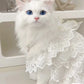 Cat Clothes Lace Wedding Dresses Designer Dog Clothes White Hollow Out Layered Princess Cat Dress Fashion Elegant Dog Dresses