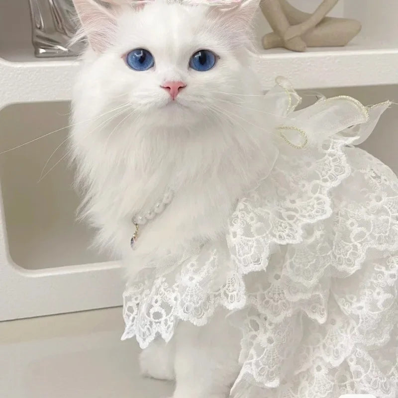 Cat Clothes Lace Wedding Dresses Designer Dog Clothes White Hollow Out Layered Princess Cat Dress Fashion Elegant Dog Dresses