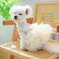1 Pet Apparel Dog Spring/Summer Breathable White Wedding Dress Princess Dress with Pulling Cord Button For Small Medium Dogs